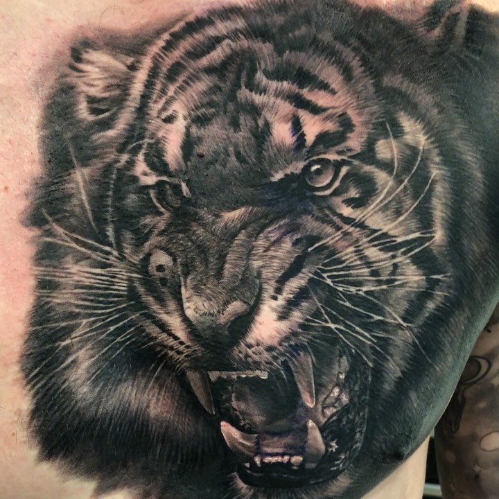 Black-and-grey roaring tiger chest tattoo