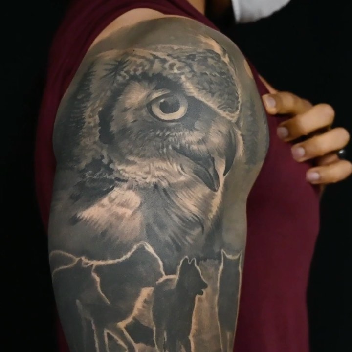 Black-and-grey owl and wolves half sleeve