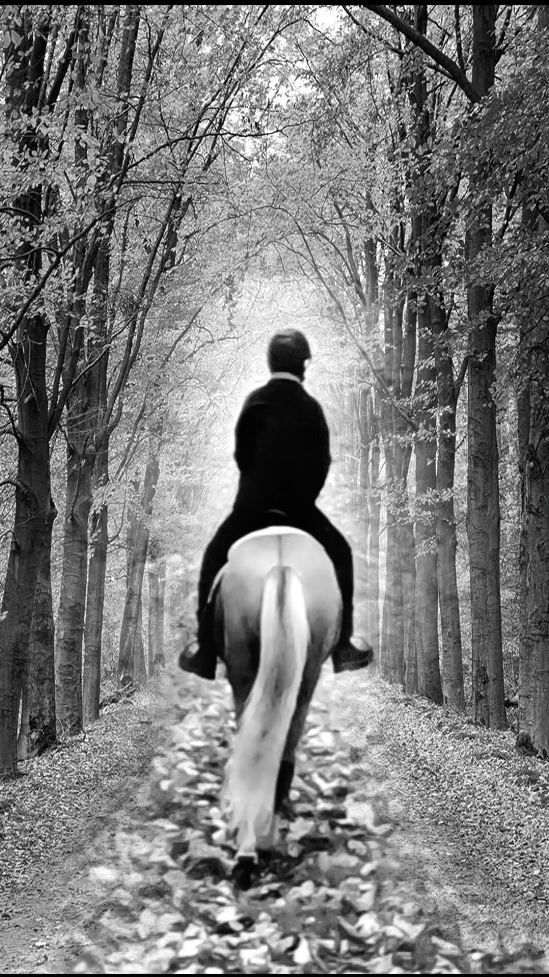 Black-and-grey memorial tattoo, woman on horse