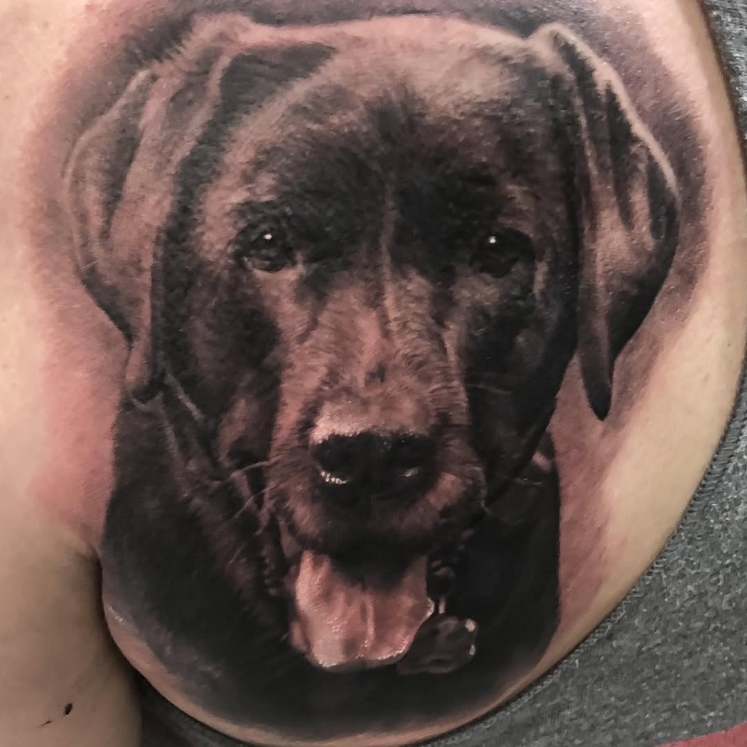 Black-and-grey Labrador portrait tattoo
