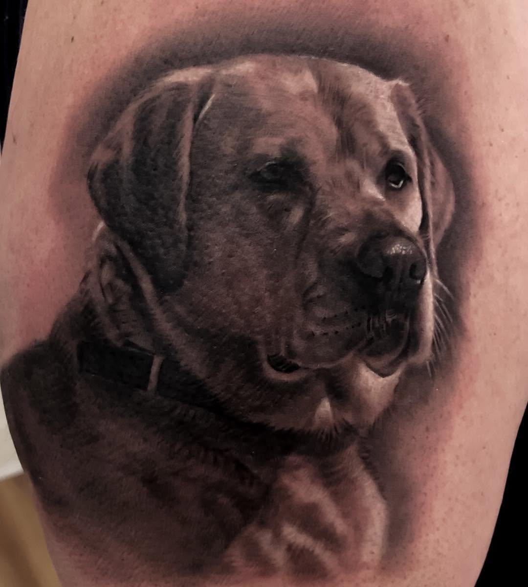 Black-and-grey Labrador dog portrait tattoo