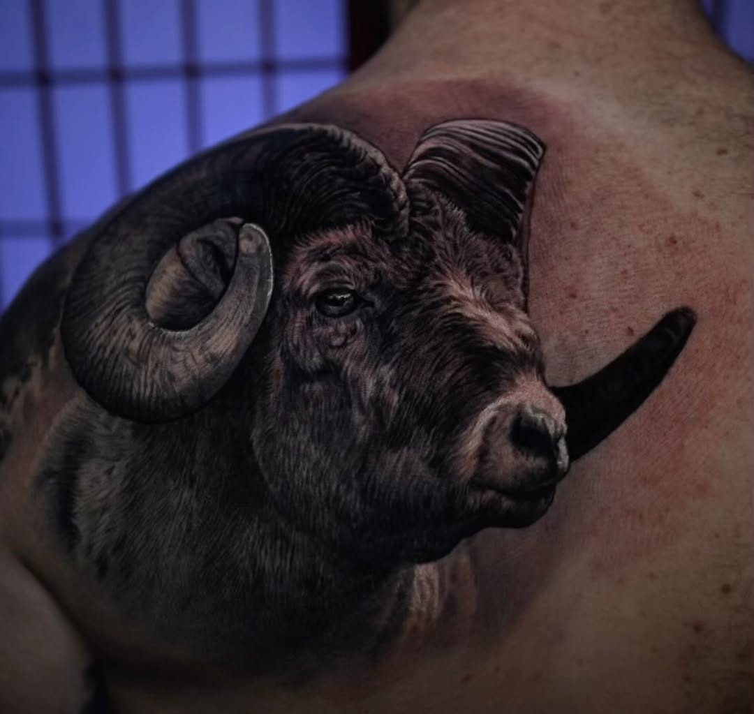 Black-and-grey ram portrait on shoulder