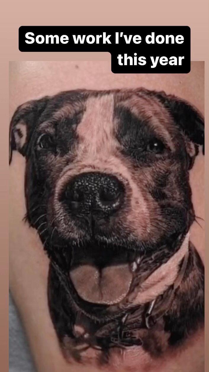 Black-and-grey pitbull portrait tattoo