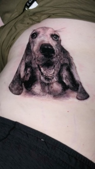Black-and-grey dog portrait tattoo, stomach