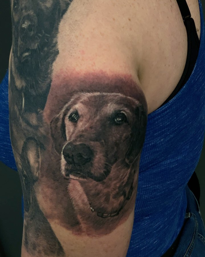 Black-and-grey dog portrait tattoo, bicep