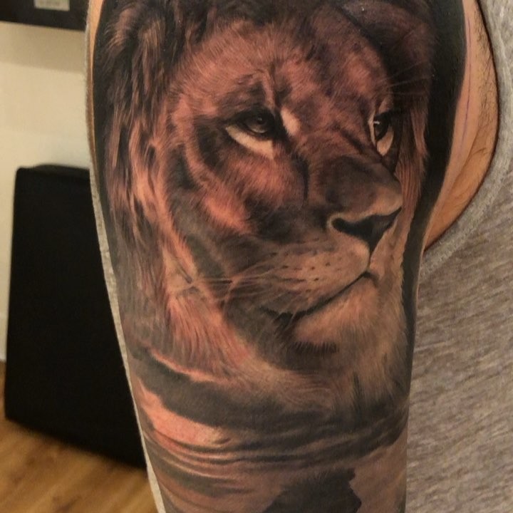 Realistic lion portrait tattoo, half-sleeve