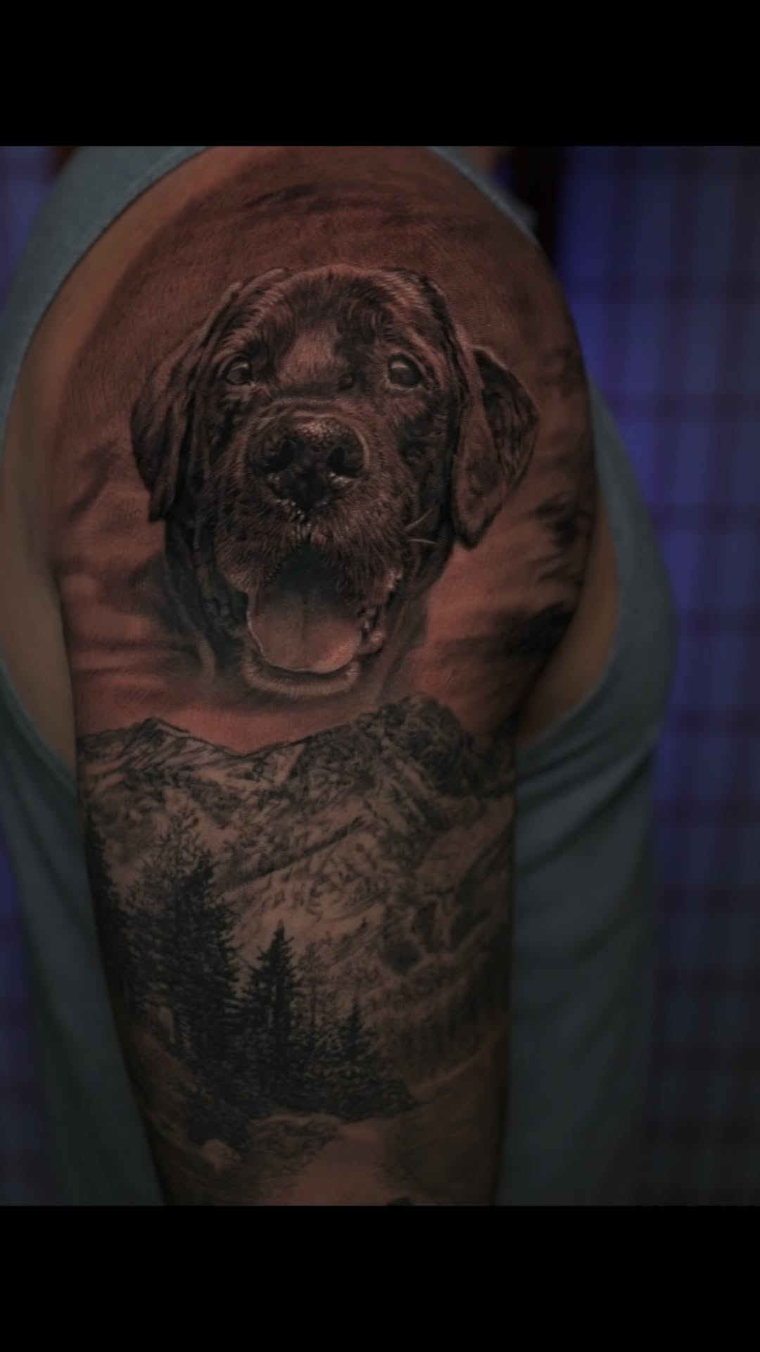 Black-and-grey dog portrait with mountains, arm