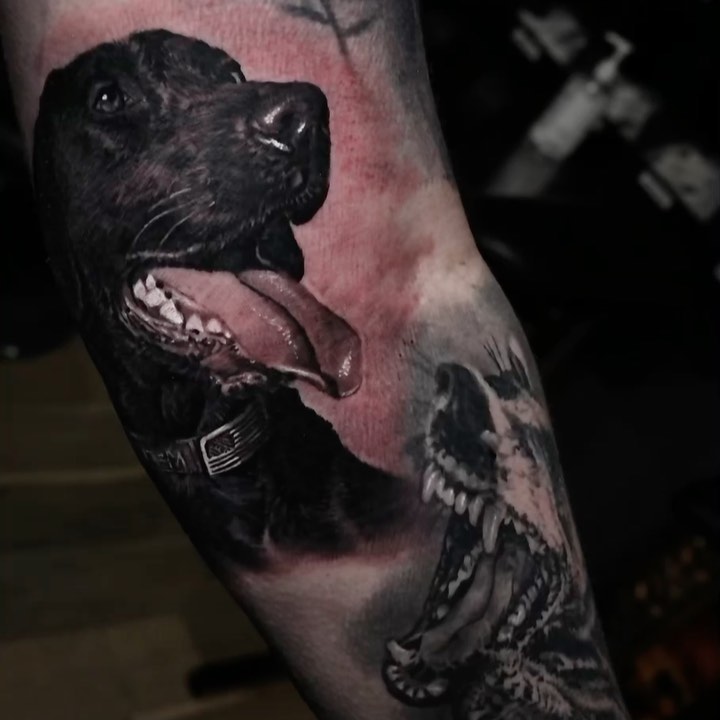 Black-and-grey dog portrait with snarling beast, forearm