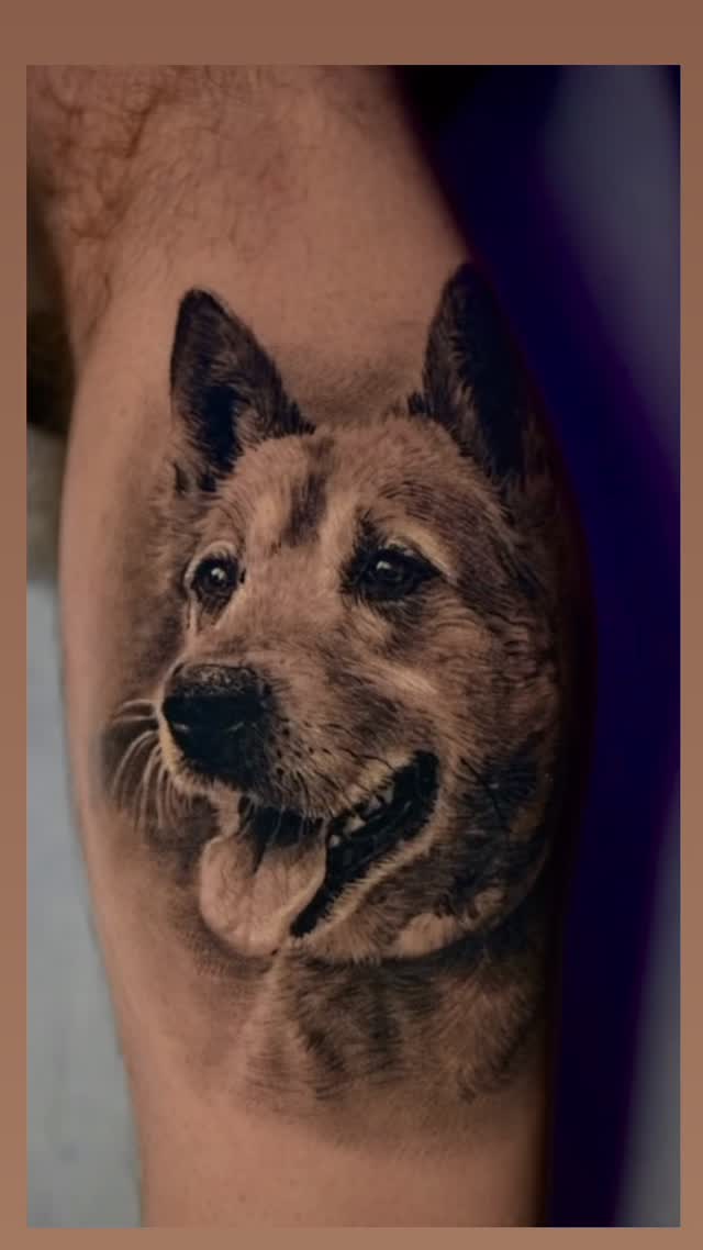Healed black-and-grey dog portrait, bicep