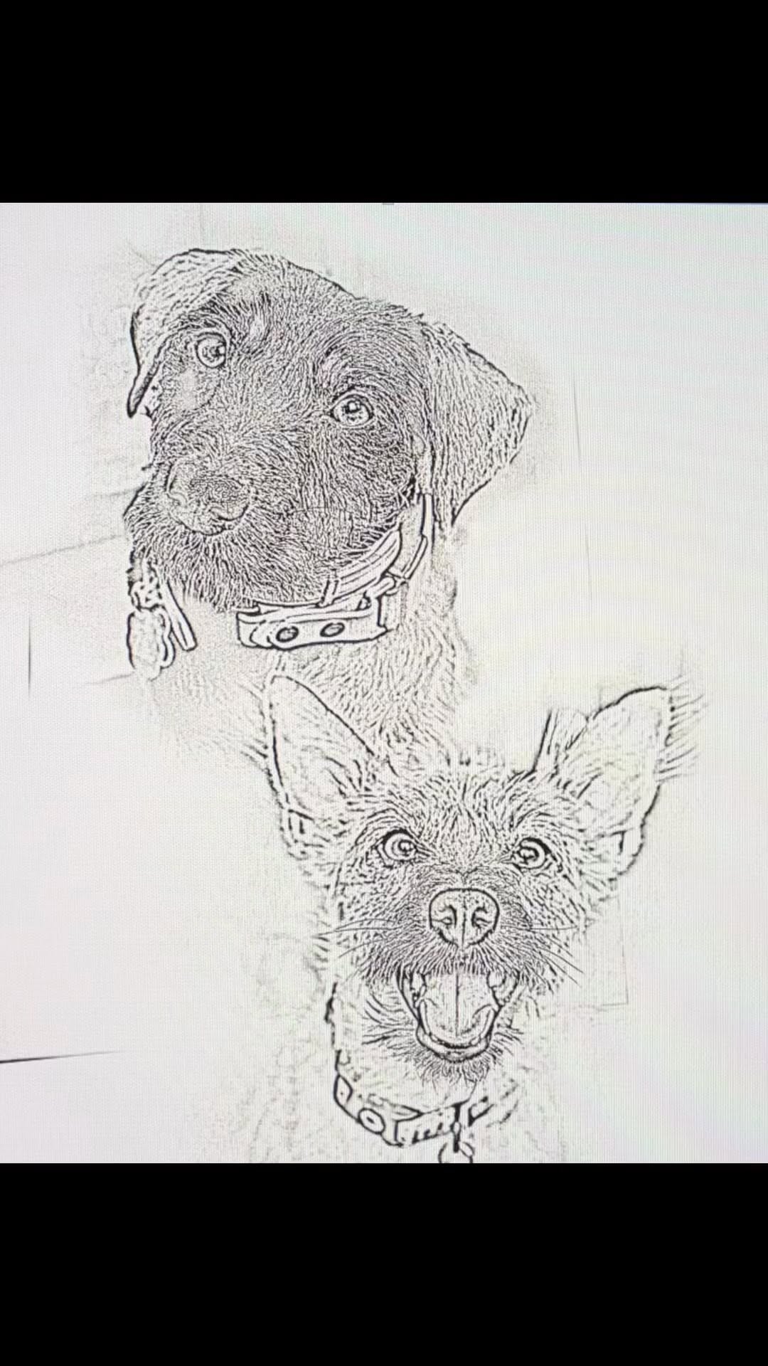 Black-and-grey dog portraits stencil, half sleeve