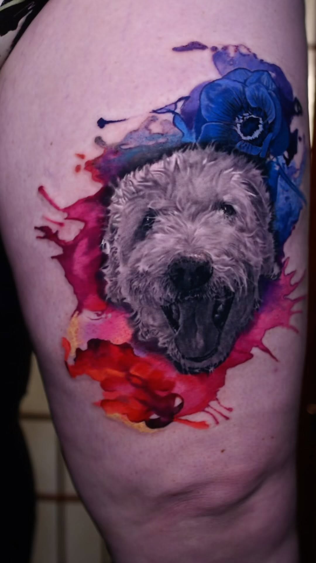 Realistic dog portrait with watercolor splash, thigh