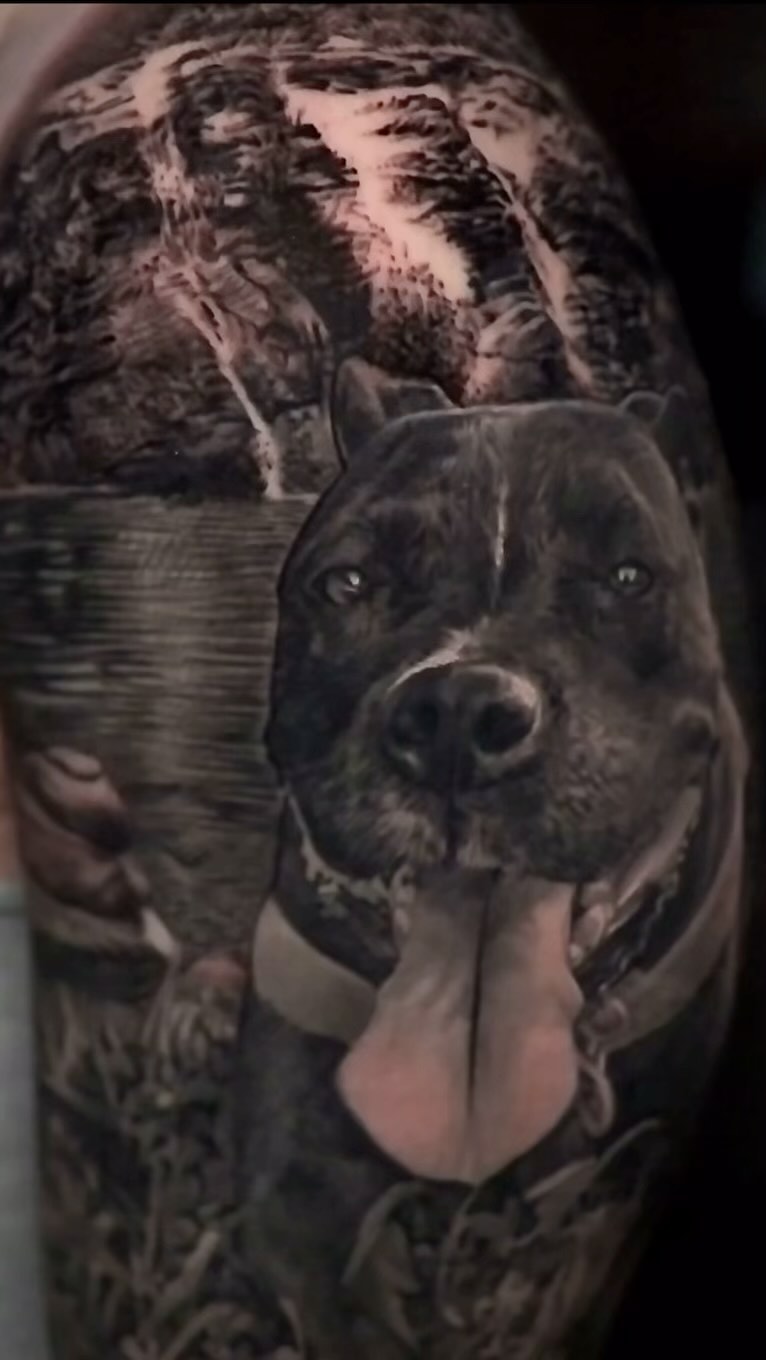 Black-and-grey pit bull portrait tattoo