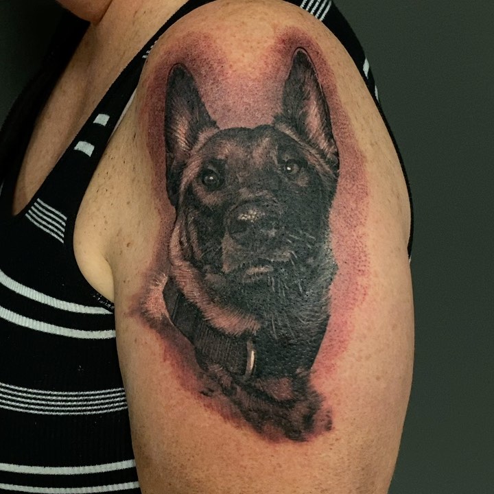 Black-and-grey German Shepherd portrait, bicep