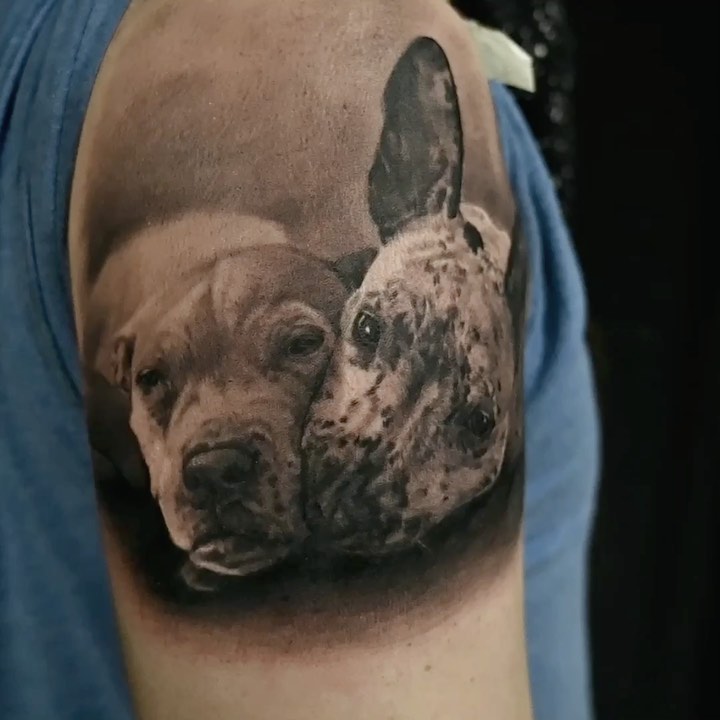 Black-and-grey dog portraits tattoo, bicep