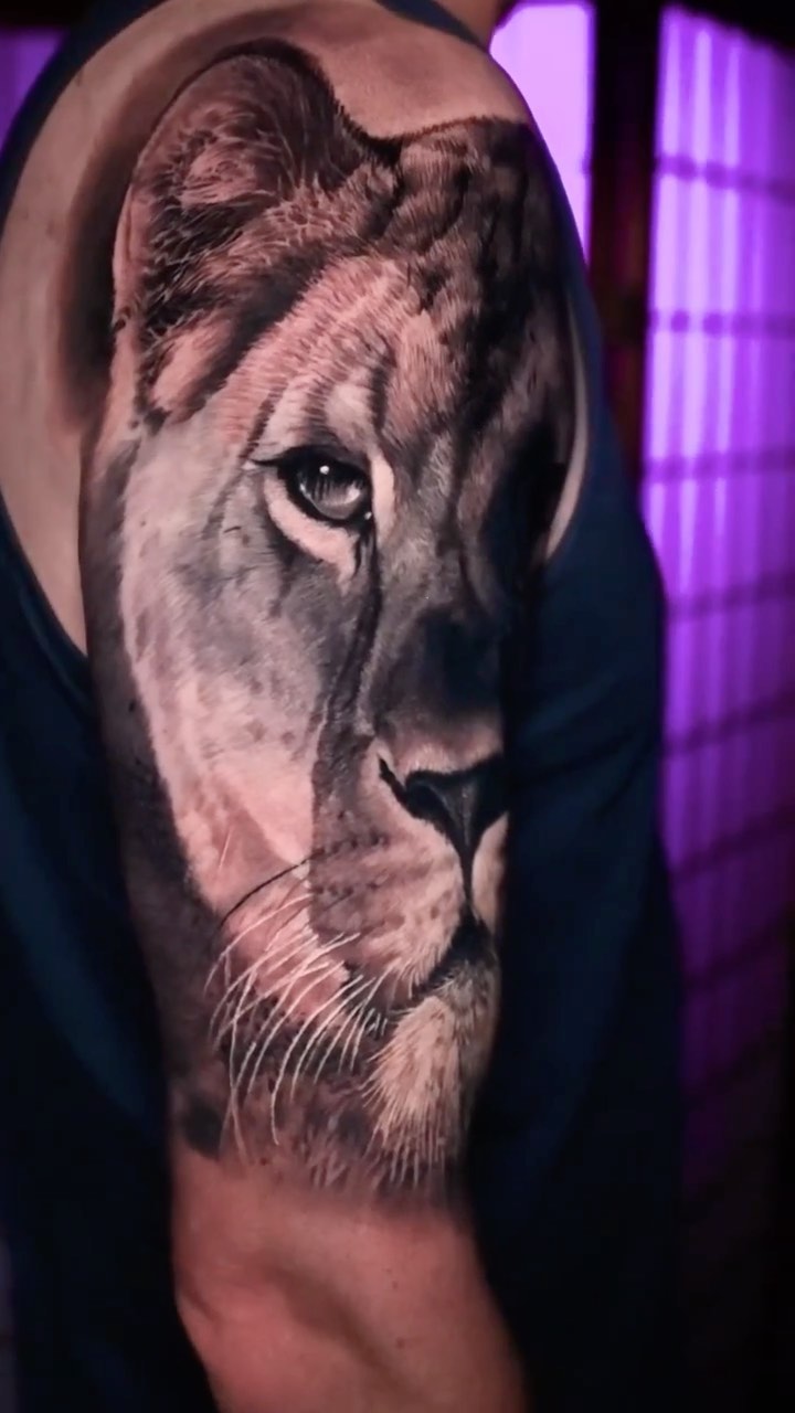 Black-and-grey lioness portrait, bicep