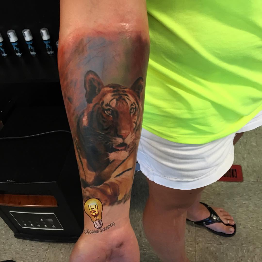 Color realism tiger tattoo on forearm