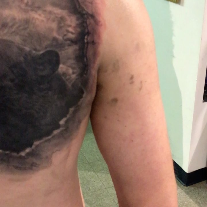 Black-and-grey chest tattoo in progress