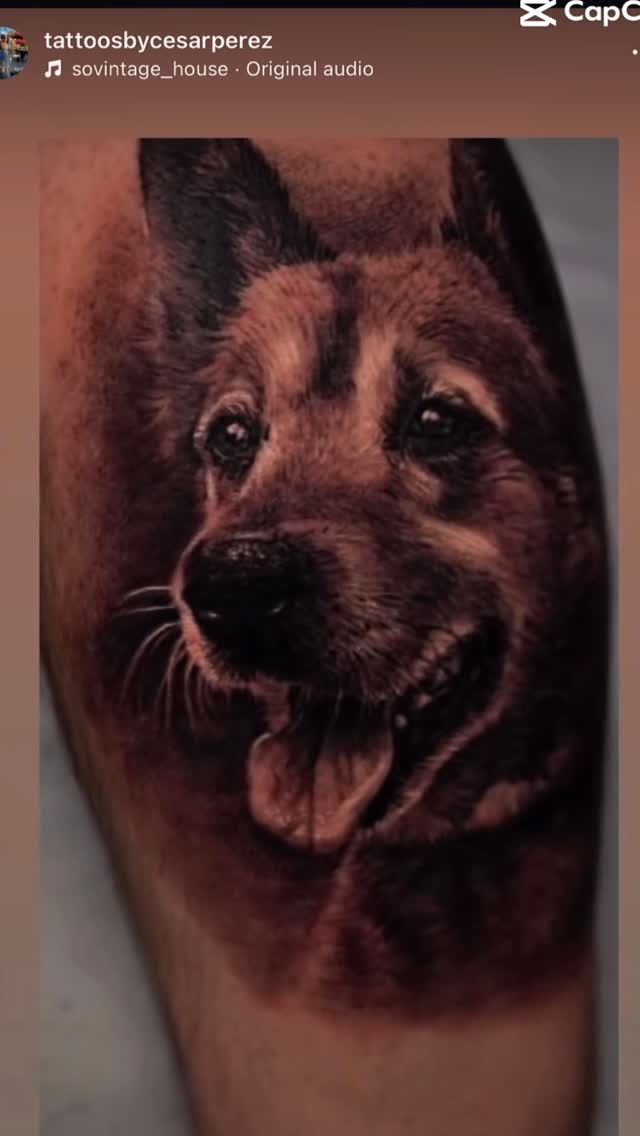 Realism collage of tattoos from 2025 pieces 