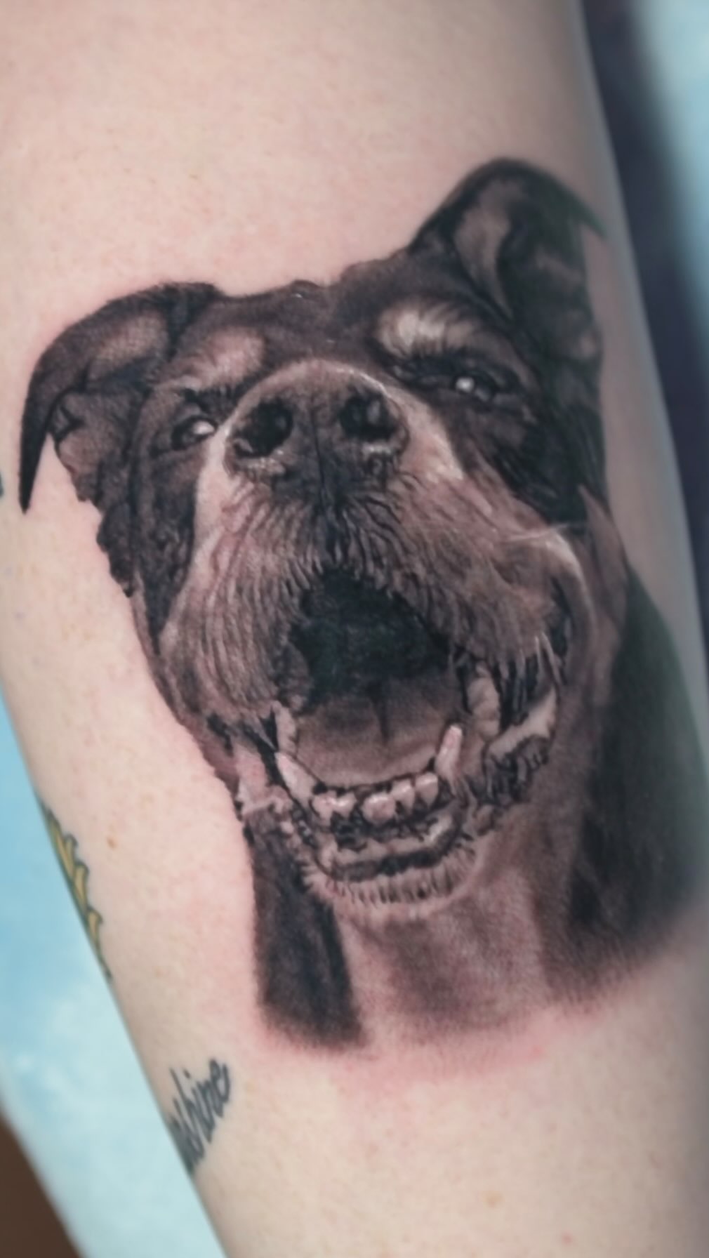 Black-and-grey realism dog portrait tattoo