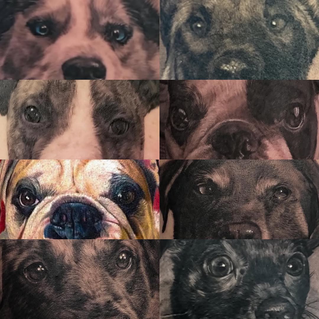 Dog portrait tattoo collection, black-and-grey & color