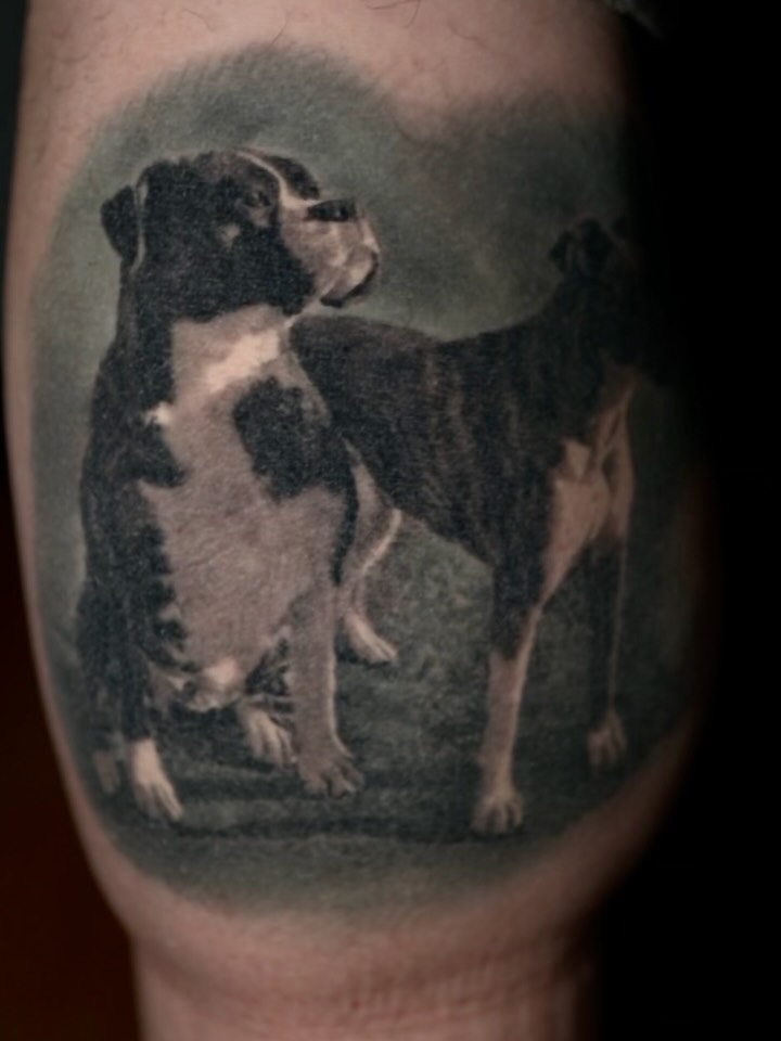 Black-and-grey dog portrait tattoo, healed