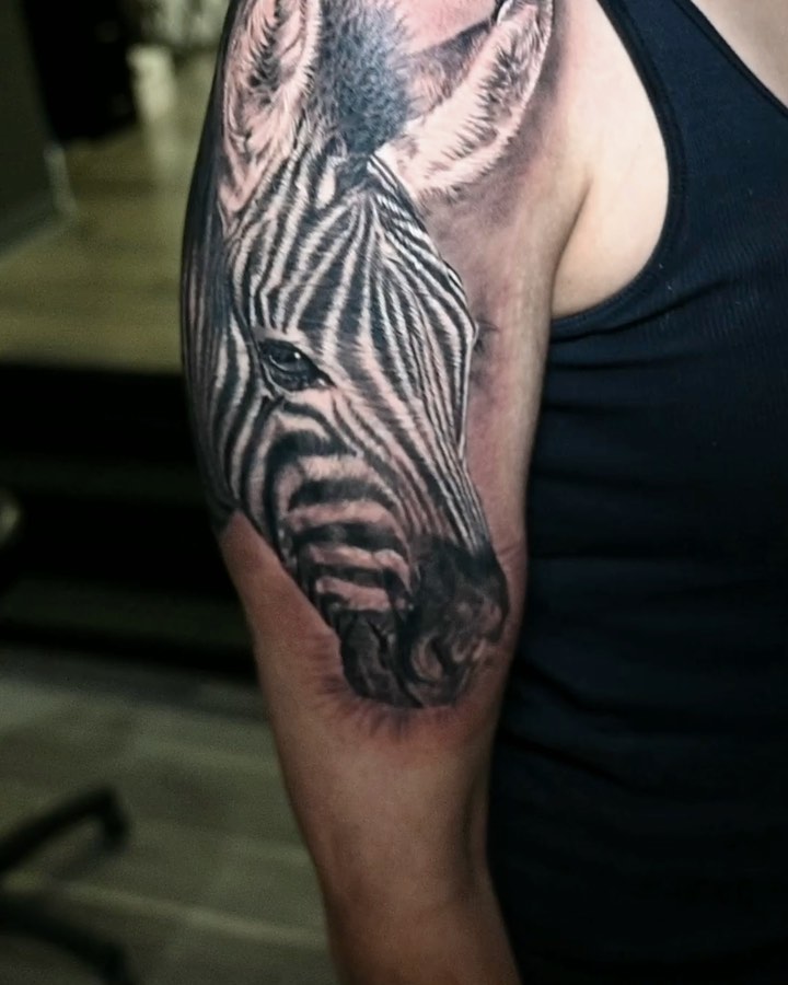 Black-and-grey zebra portrait, half sleeve