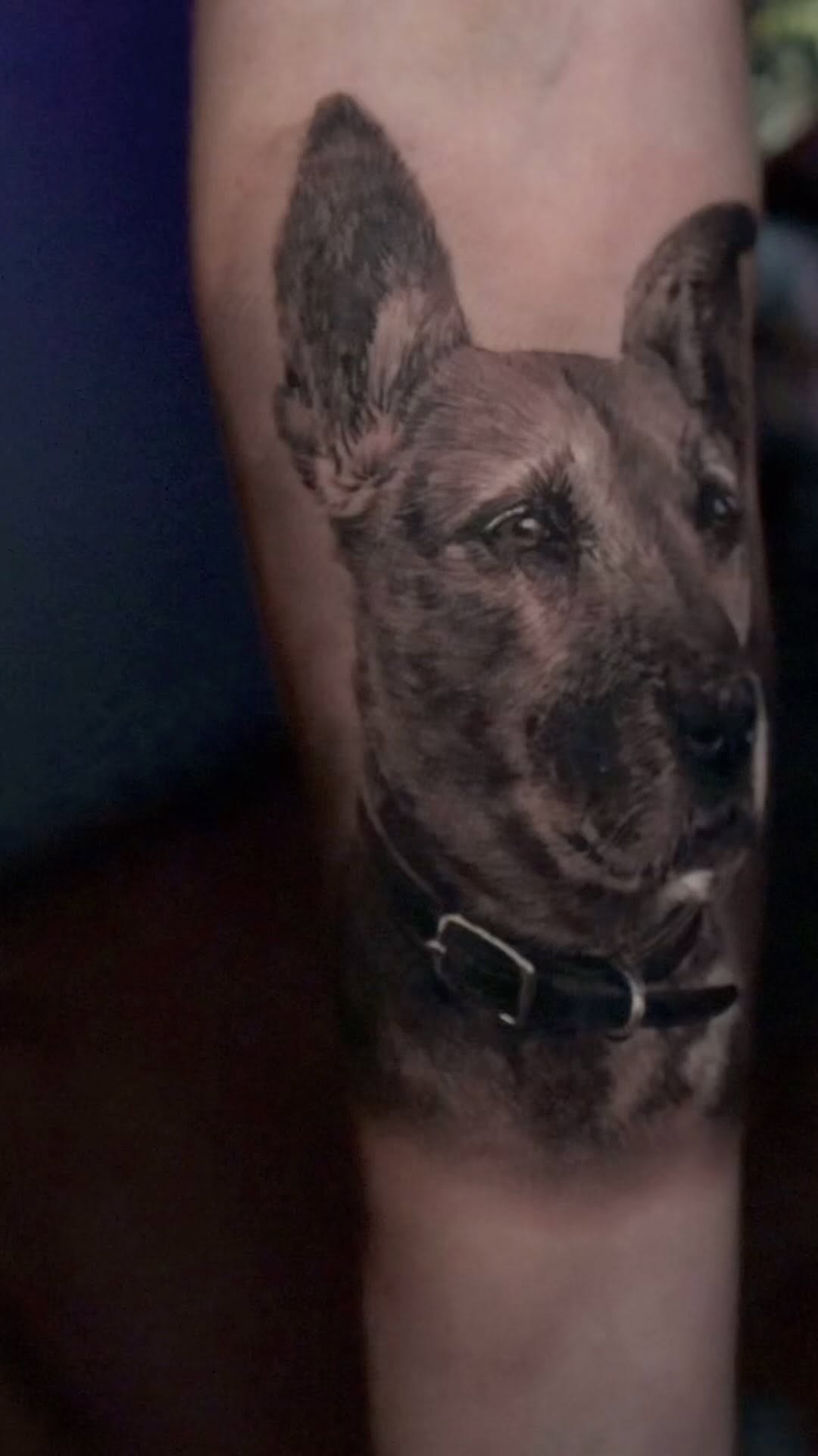 Black-and-grey memorial dog portrait, forearm