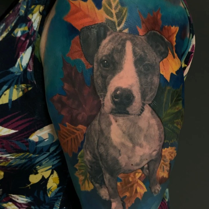 Color pit bull portrait with autumn leaves, arm