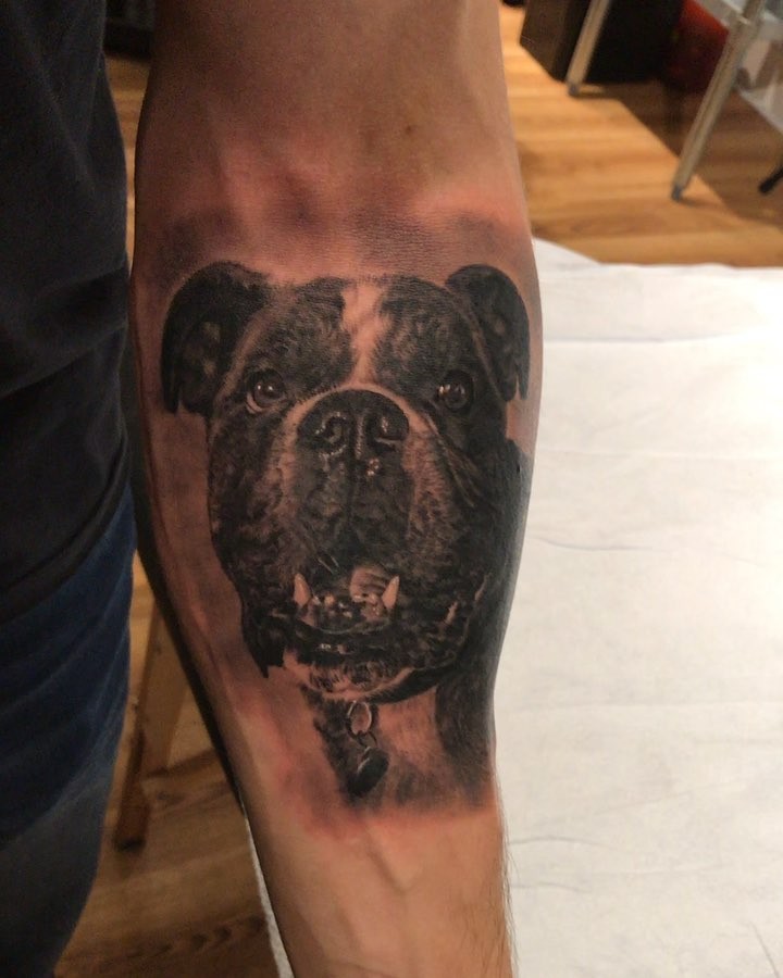 Black-and-grey bulldog portrait, forearm