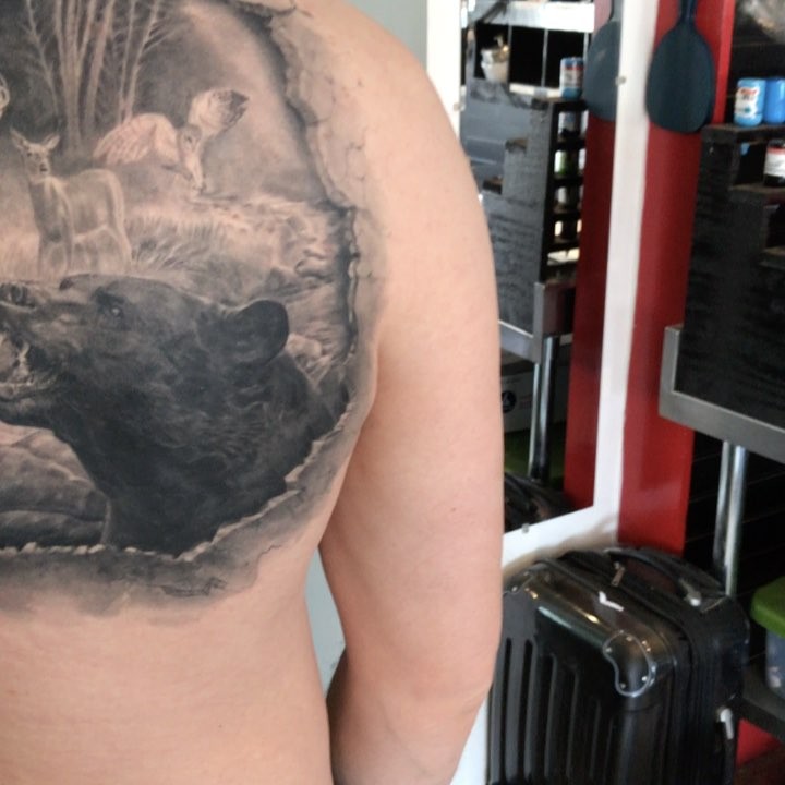 Black-and-grey wildlife scene, back and shoulder