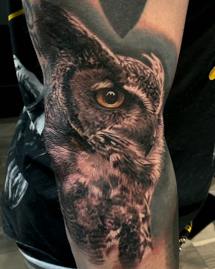 Realistic owl portrait tattoo, black-and-grey