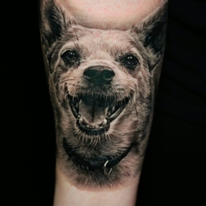 Pets tattoo