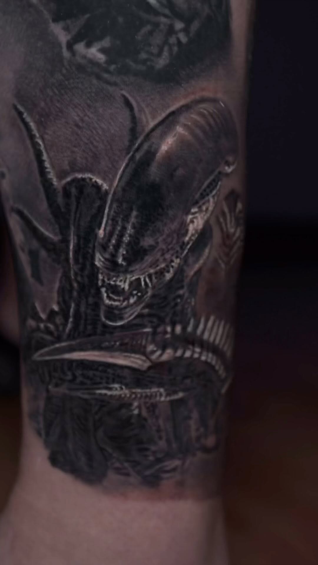 Black-and-grey Xenomorph alien tattoo on arm