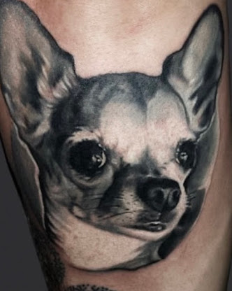Puppy dog