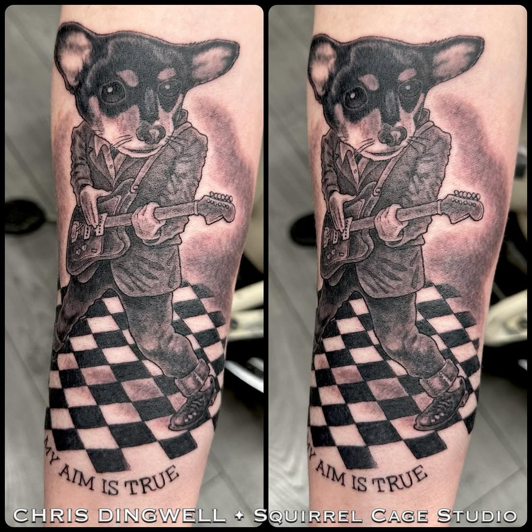 Chihuahua Elvis Costello portrait tattoo, forearm