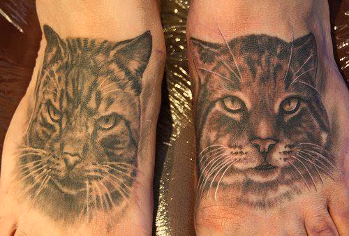 Black and Gray Cats