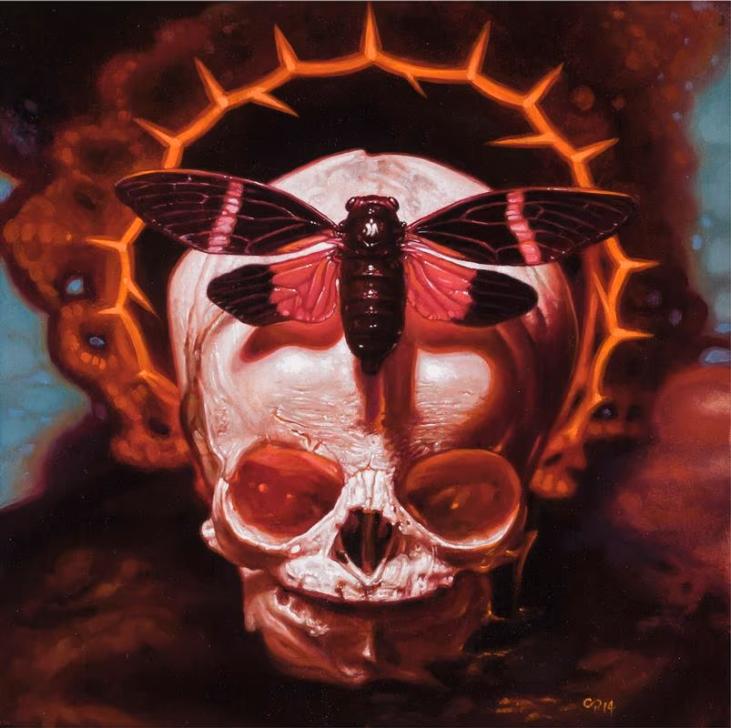 Skull