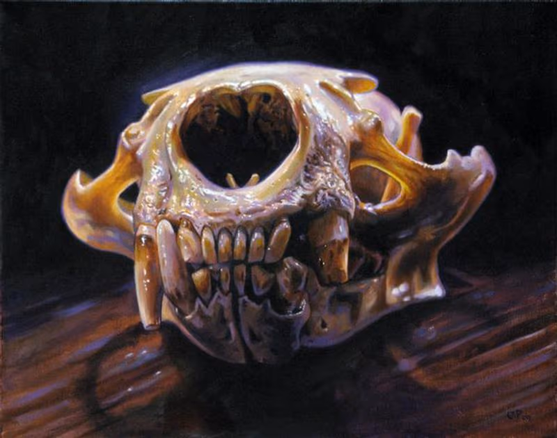 Skull