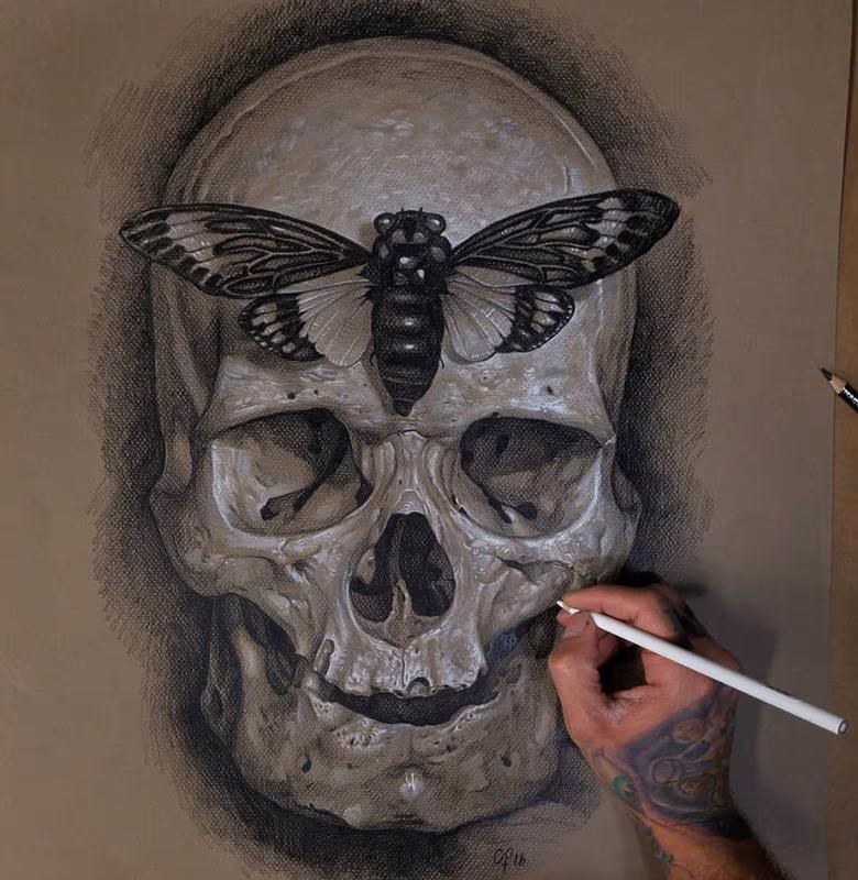 Skull Sketch