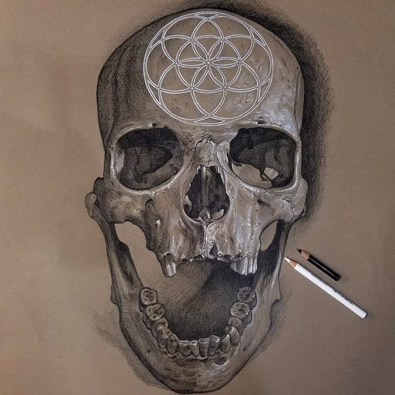 Skull Sketch