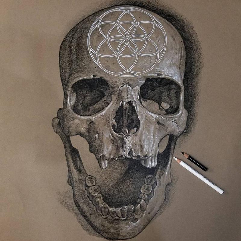 Skull Sketch