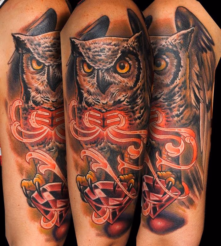 Owl