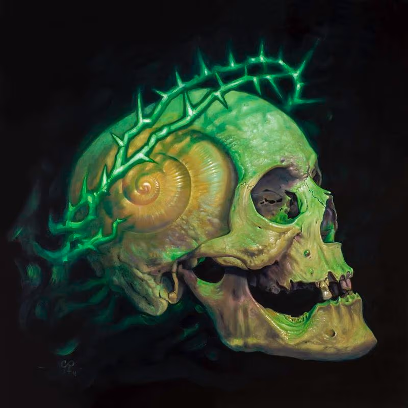 Shell Skull with Crown of Thorns