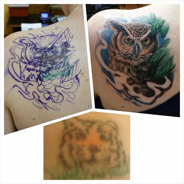 owl cover up