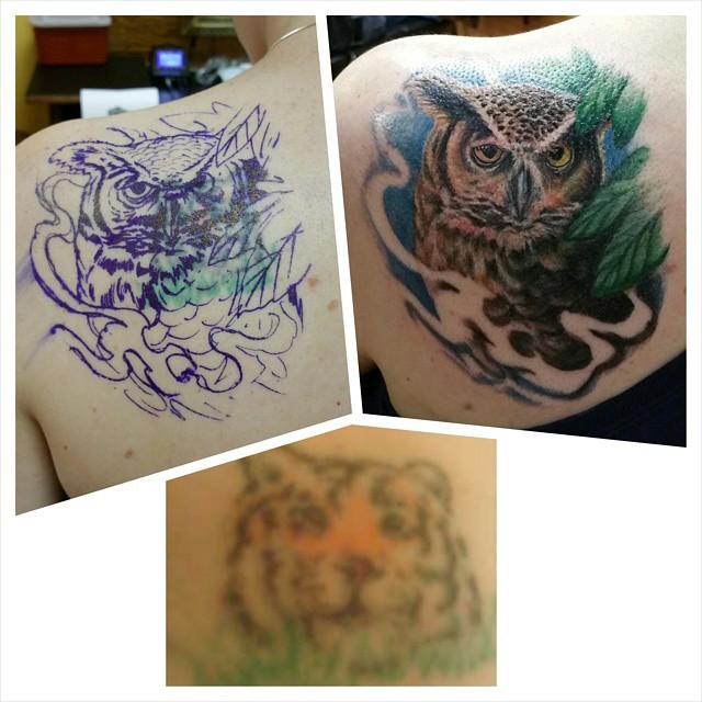 owl cover up