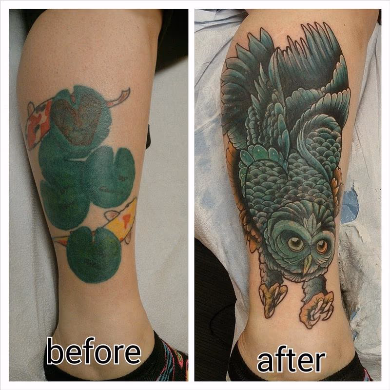 Hard owl cover up