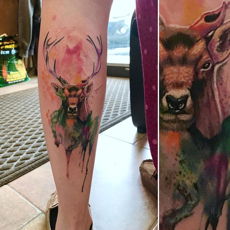 watercolor deer