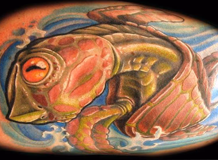 sea turtle