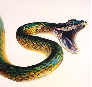 Garden Snake