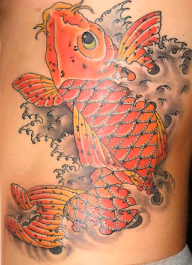 Koi